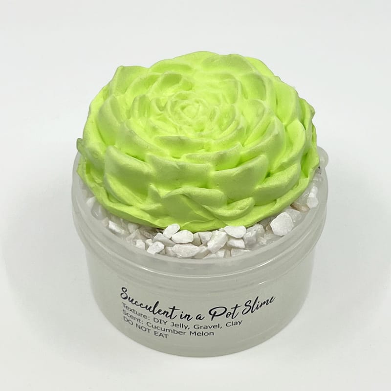 Succulent in a Pot DIY Slime - Image 3