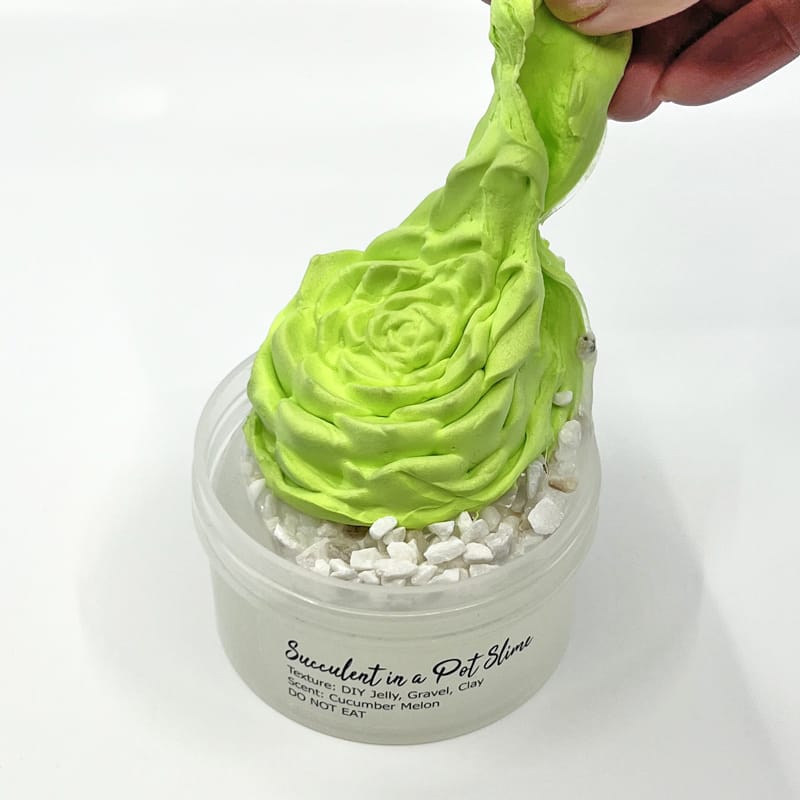 Succulent in a Pot DIY Slime - Image 2